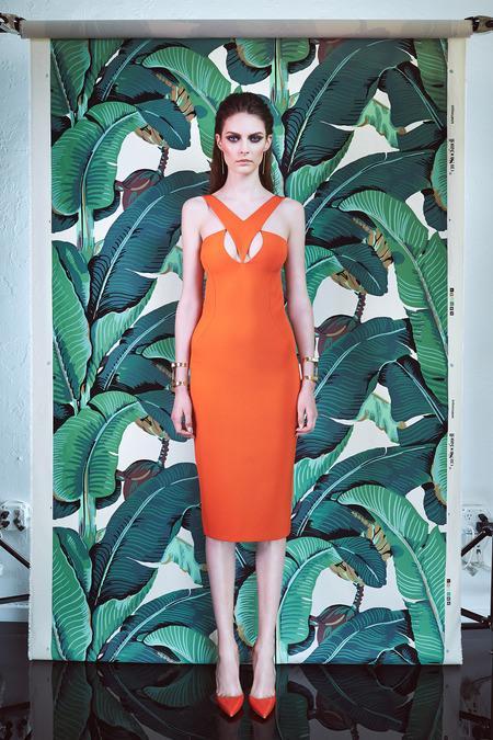 cushnie-et-ochs-resort-2015-9