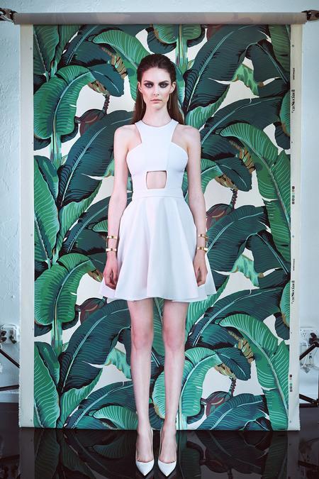 cushnie-et-ochs-resort-2015-2