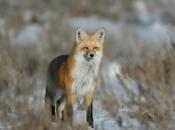 Pulls Trigger, Shoots Hunter