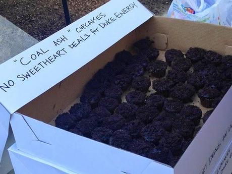 Cupcakes Get Political in North Carolina!