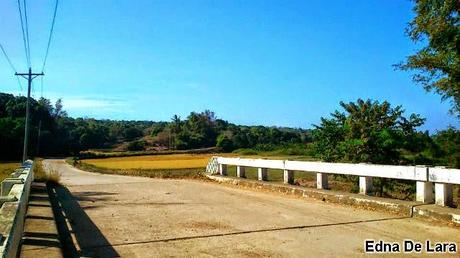 A Call Center Girl Shouts 