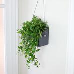 https://www.touchofmodern.com/sales/opus-garten/hangen-wall-planter?share_invite_token=WQ3PD6V0