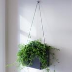 https://www.touchofmodern.com/sales/opus-garten/hangen-wall-planter?share_invite_token=WQ3PD6V0