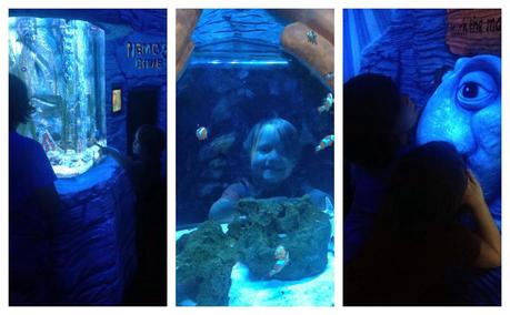 Review: Sea Life Centre, Great Yarmouth