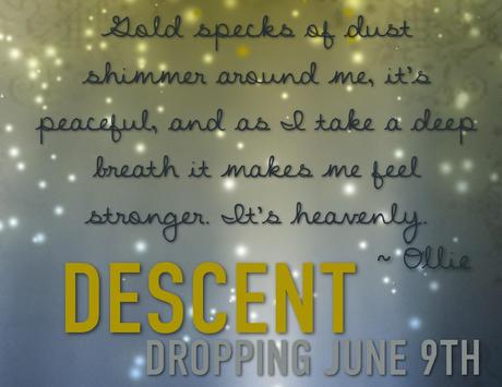 Book Stand: Release Day Launch of Descent by Kallie Ross