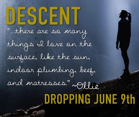 Book Stand: Release Day Launch of Descent by Kallie Ross