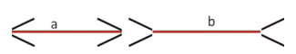 The Muller-Lyer illusion. The two lines are the same length, but don't look it. Different cultur