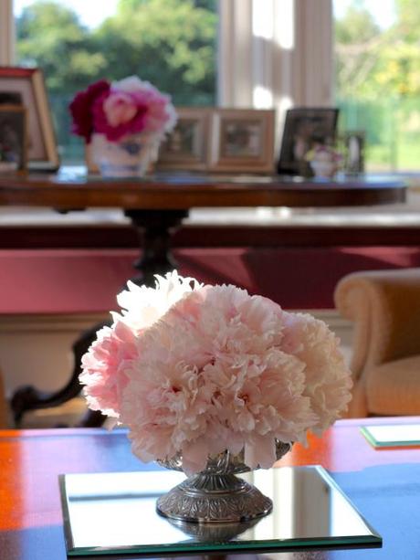 Peony Posies