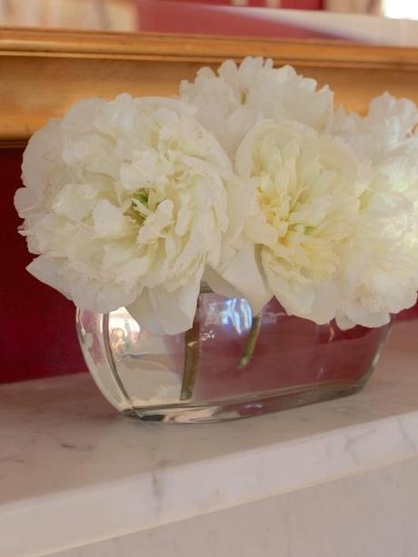 Peony Duchess de Nemours