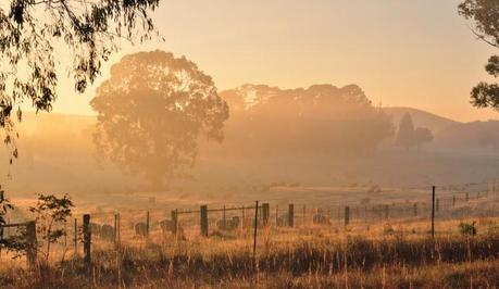 Slow Living Monthly 9 - May 2014