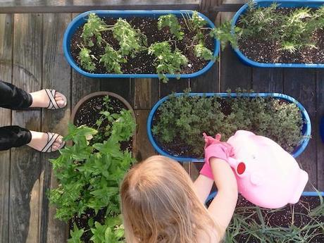 15 houseguests = 1 big party watering_FeedMeDearly