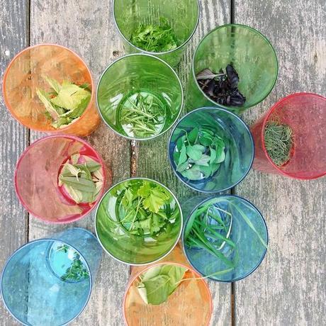 15 houseguests = 1 big party harvest_FeedMeDearly