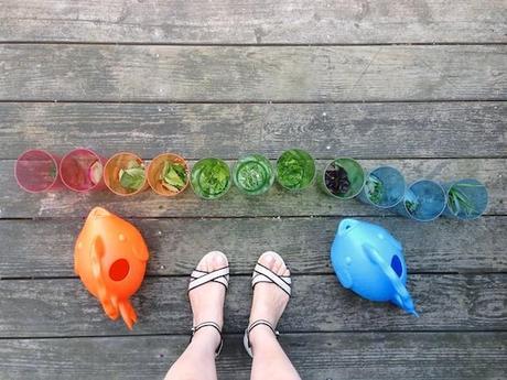 15 houseguests = 1 big party herbs_in_a_line_FeedMeDearly