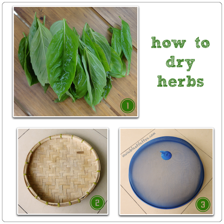 How To Dry Herbs