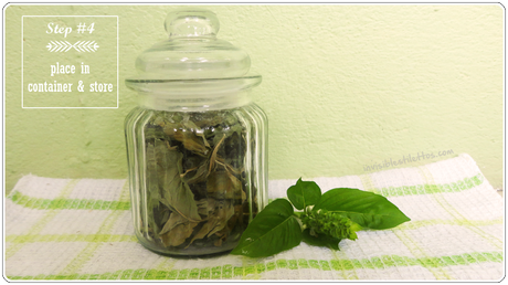 How To Dry Herbs