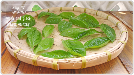 How To Dry Herbs