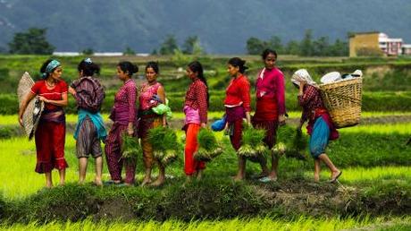 Women Run Nepal But Men Rule It