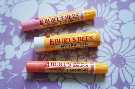 Burt's bees lip shimmer lipbalm