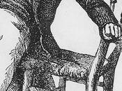 Note Readers Commenters