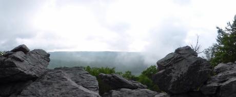 Day 54: HALFWAY On A Humid Day