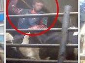 You’ll Never Look Glass Milk Same Again. Watch Now.