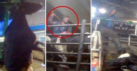 You’ll never look at a glass of milk the same way again. Watch now.