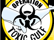 Shepherd Ocean Alliance Sail “Operation Toxic Gulf 2014”