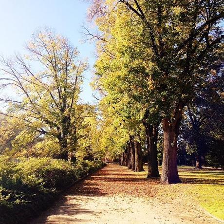 What an absolutely spectacular spectacular weekend! Thanks Mother Nature for one last autumn hurrah! #vscocam