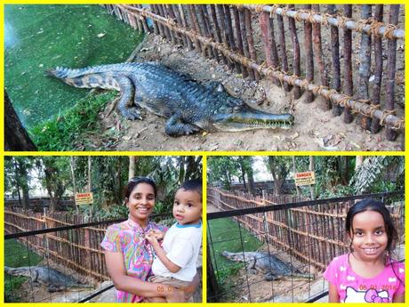 We three took turns posing alongside the gharial