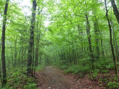 Day 55: Adjusting To A New Normal