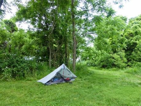 Day 55: Adjusting To A New Normal