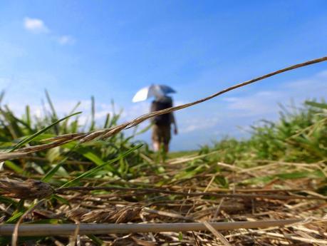 Day 55: Adjusting To A New Normal