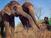 Jumbo Problems Elephants Unlearning Language