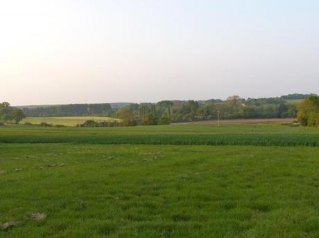 View of farmland, Lantern & Larks