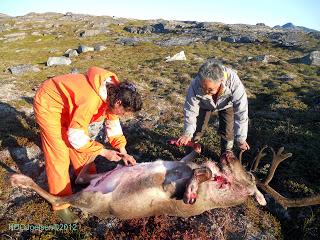 Greenland (Sailing from Qaqortoq to New Places - Day 1) August 17th - 19th 2012