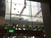 Malaysia Under Attack Giant Moths