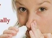 Best Ways Relieve Your Stuffy Nose Naturally