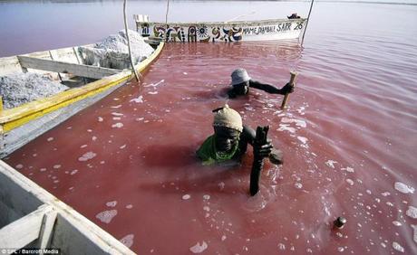 Photography of Lake Retba in Senegal