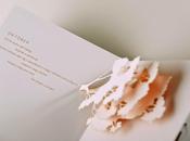 Paper Pop-up Book