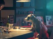DOGS Star Korean Drama Music Video