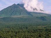 Congo-Kinshasa: Company Soco Drill Virunga World Heritage Site