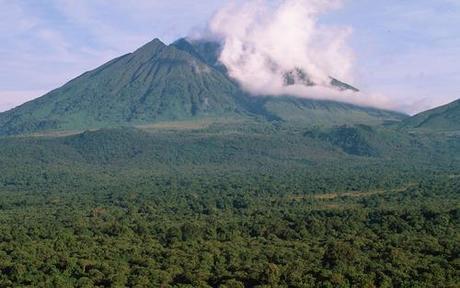 Congo-Kinshasa: Oil Company Soco Not to Drill in Virunga World Heritage Site Congo-Kinshasa: Oil Company Soco Not to Drill in Virunga World Heritage Site