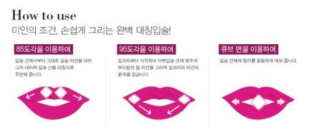 VDL Expert Color Lip Cube application