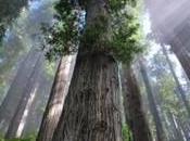 Using Mapping Technology Help Wildlife