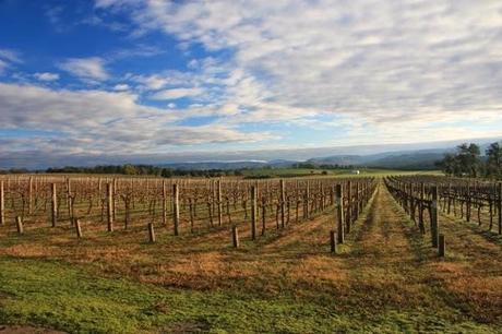 Exploring Australia's Gold Mining Past on the Victoria Heritage Trail