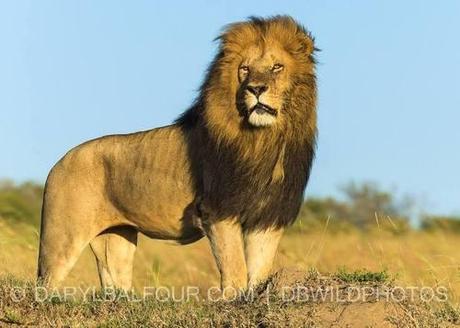 READ THIS LIST OF HUNTING SUPPORTERS…….AND THEN SHARE!