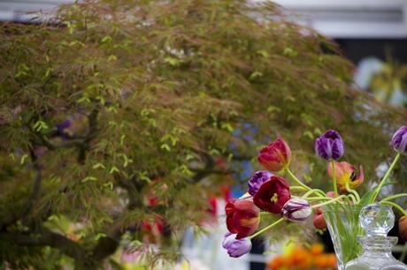 Tulips Bouquet In Vase