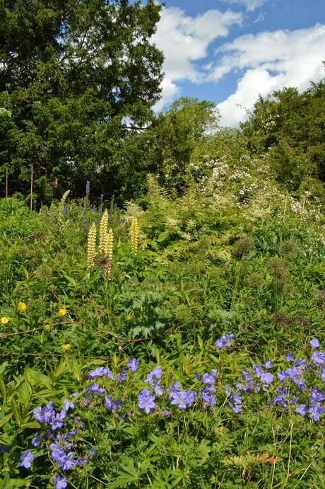 A visit to Waterperry Gardens