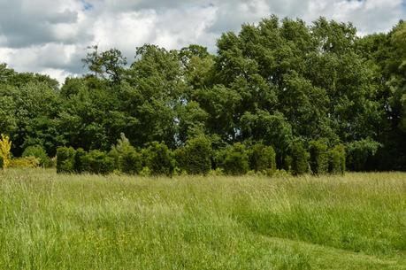 A visit to Waterperry Gardens