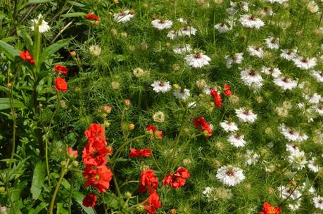 A visit to Waterperry Gardens